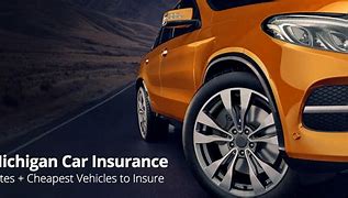 Image result for Best Auto Insurance in Michigan
