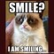 Image result for Funny Meme Fake Smile