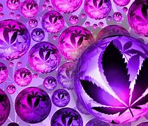 Image result for Animated Weed Screensavers