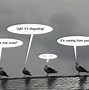 Image result for Philosophical Seagull Meme