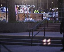 Police dismantle pro-Palestinian encampment at MIT 的图像结果