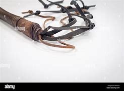 Image result for Roman Cat of Nine Tails Used to Whip Jesus
