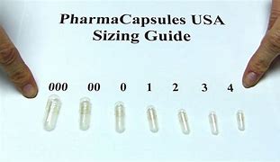 Image result for Capsule Size 4