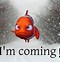 Image result for Funny Convo Nemo Meme