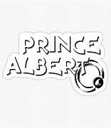 Image result for Samsung Tablet Covers Prince Albert