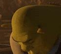 Image result for Shrek Looking Up and Smiling GIF
