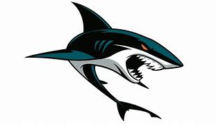 Image result for San Jose Sharks Logo