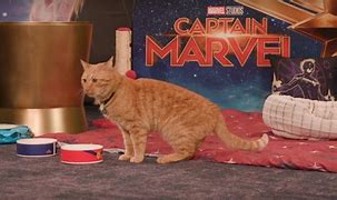 Image result for Cat with Mouth Open From the Marvel's