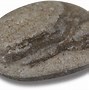 Image result for Pebble PN