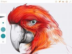 Image result for iPad Sketch