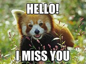 Image result for Miss You Funny Ecard