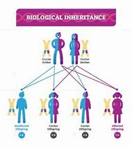 Image result for Biological Inheritance