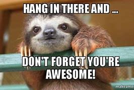 Image result for The Hanging in There Star Meme