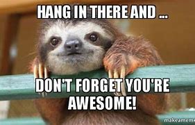 Image result for Hang in There Meme Super Vute
