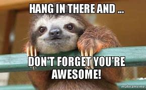 Image result for Hang in There Meme Work