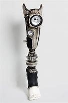 Image result for Cool Prosthetic Limbs