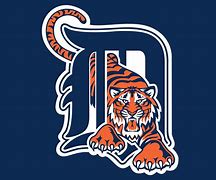 Image result for Detroit Sports Teams