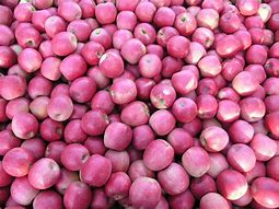 Image result for Small Pink Lady Apple