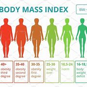 Image result for BMI Women Body