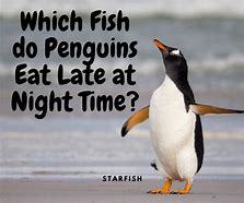 Image result for Funny Penguin Jokes