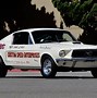 Image result for NHRA Ford Mustang Factory X
