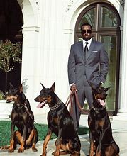 Image result for Kanye the Dog