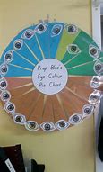 Image result for Eye Color Pie-Chart
