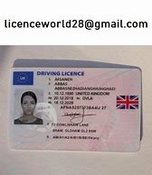 Image result for Fake Work Permit