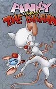 Image result for Pinky and the Brain Volume 2 DVD