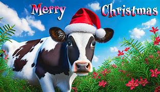 Image result for Merry Christmas From Pfizer Meme