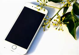 Image result for iPhone 6 Beauty