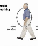 Image result for Circular Breathing by Jaya Savige