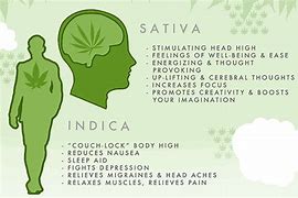 Image result for Side Effects of Sativa Marijuana