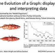 Image result for Evolution Used On a Graph