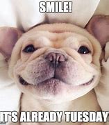 Image result for Cute Funny Tuesday Memes