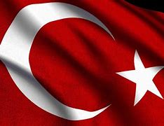 Image result for Turk Bayraq