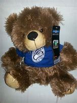 Image result for Seahawks Teddy Funny Background