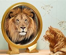 Image result for Bold Image of a Cat Reflection in the Mirror Changing to a Lion