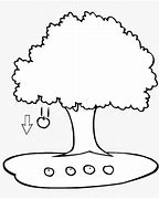 Image result for Apple's On the Tree Clip Art