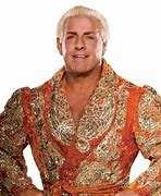 Image result for Ric Flair NWA