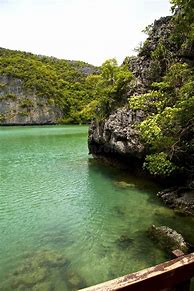 Image result for China Green Lagoon