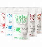 Image result for Cricket Bites On Dogs