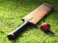 Image result for Pic of Cricket Bat