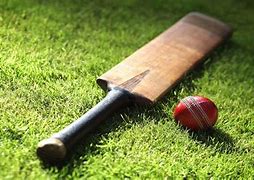 Image result for Cricket Bat Without Background