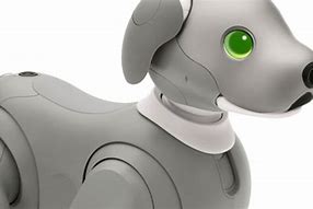 Image result for Buy Aibo