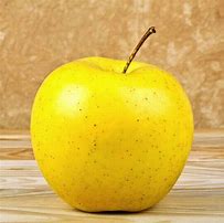 Image result for Chehalis Apple