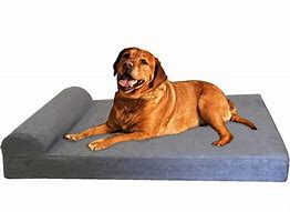 Image result for Dog Bed for Humans