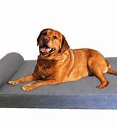 Image result for Cooling Dog Bed
