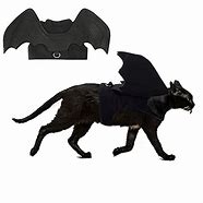Image result for Litten with Bat Wings