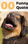Image result for Funny Joke Quote Pic